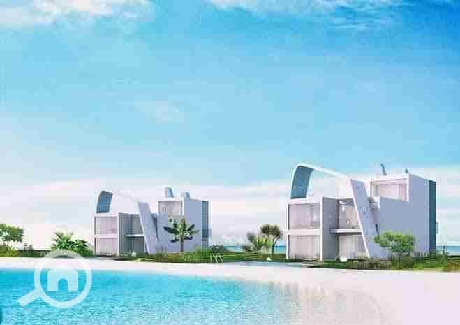 3 images - 2023-04-24T184553.612. jpeg