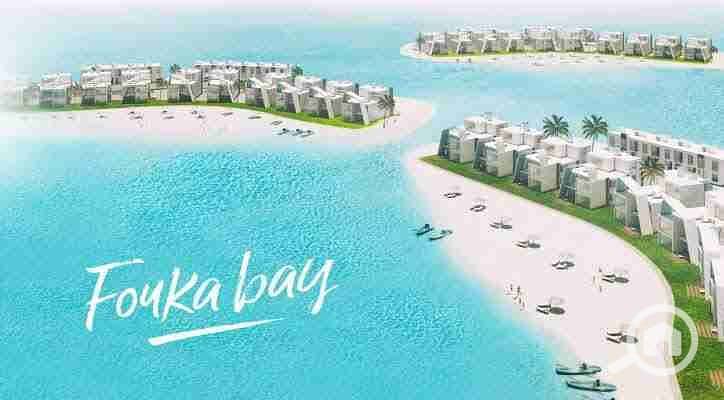 4 images - 2023-04-24T184542.283. jpeg