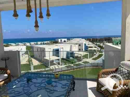 8 images - 2023-04-24T184429.492. jpeg