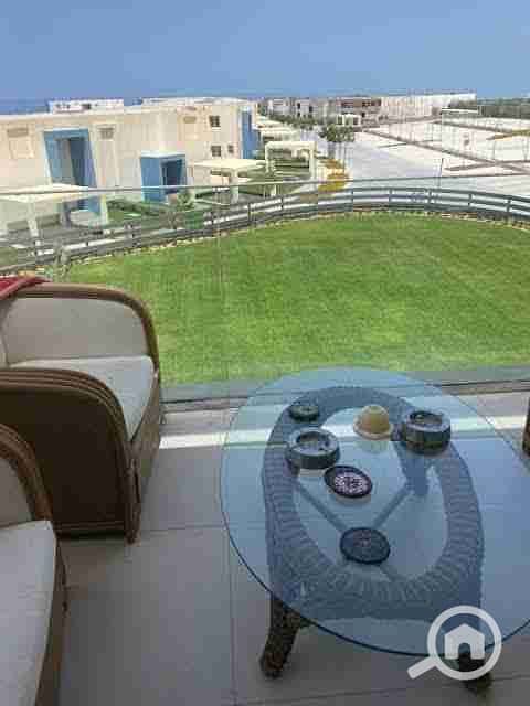 3 images - 2023-04-24T184416.662. jpeg