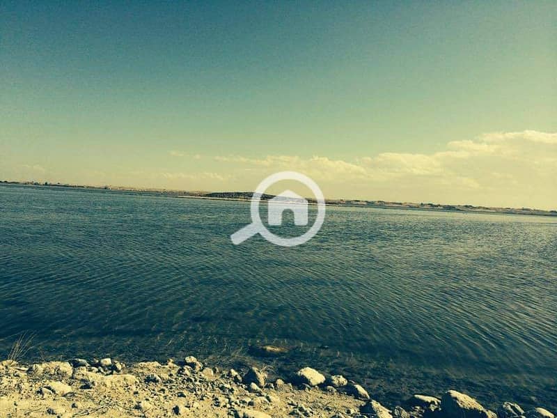 5 bdb511ee-9341-4384-9079-789db9afc698. jpg