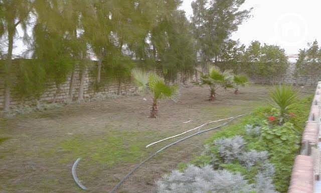 6 ef0504a3-b09e-4387-88d5-4159c03c0739. jpg