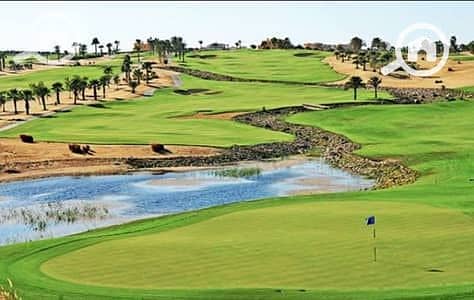 4 32605691-400x300. jpeg