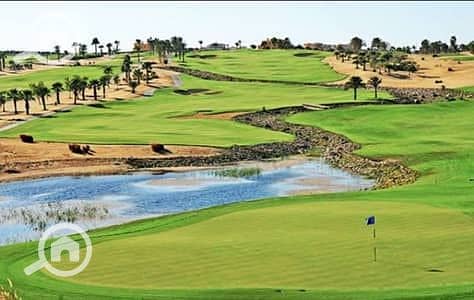 5 32605691-400x300. jpeg