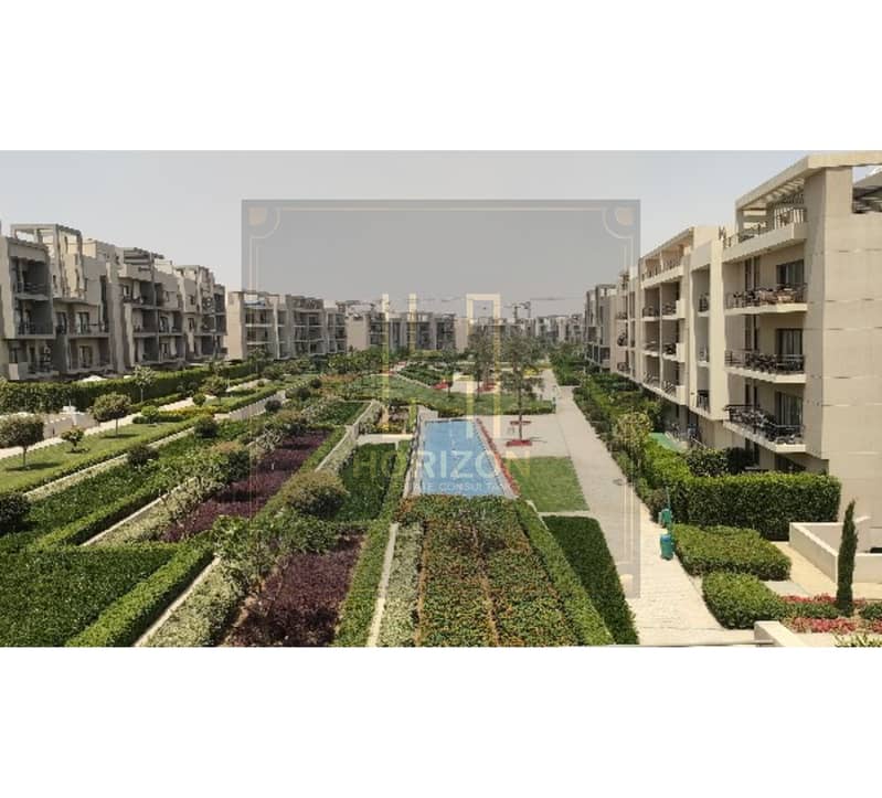 2 278141814759520250506013304334. jpg