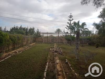 فیلا 3 غرف نوم للبيع في الساحل الشمالي، مطروح - 17bf0461-6075-4d30-884e-c7f1a4896d0a. jpg