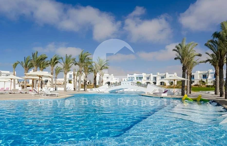 4 8 (Custom) (Custom). jpg