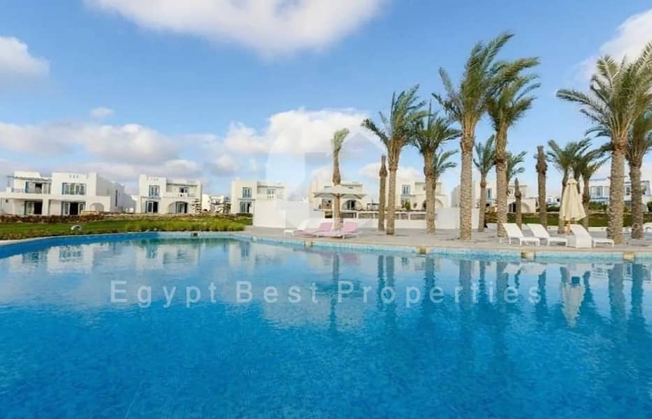 4 3 (Custom) (Custom). jpg