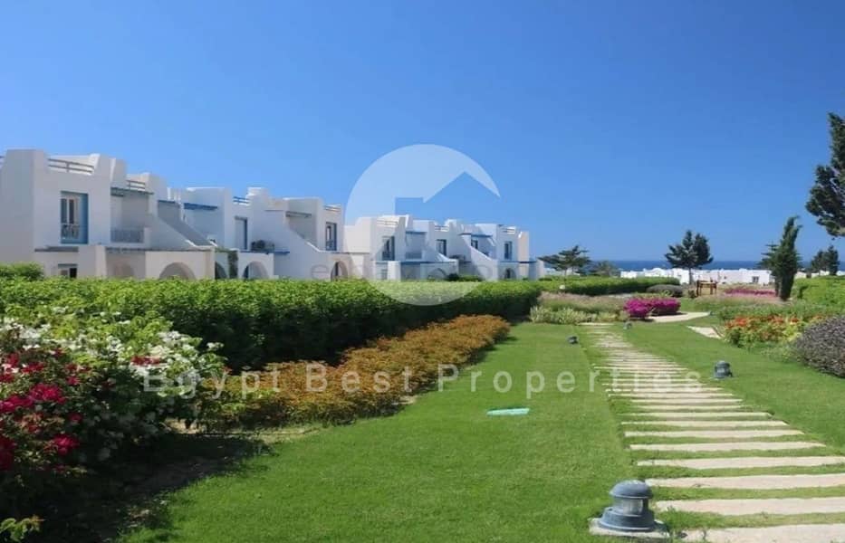 8 6 (Custom) (Custom). jpg