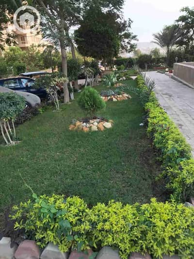 شقة 3 غرف نوم للايجار في زهراء المعادى، القاهرة - 1000188980. jpg