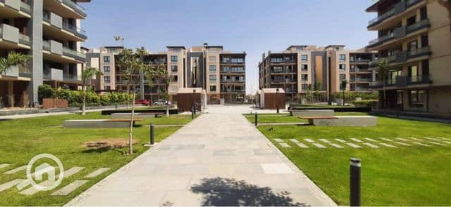 11 c873e747-82e1-4629-a351-d5f12e1913c2. jfif. jpg