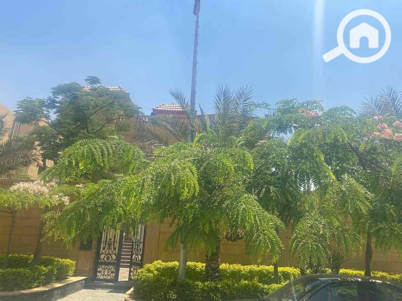 3 4dbf1201-19b1-4012-8fb0-d711c4050cc8. jpg