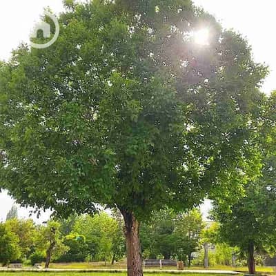 شقة 1 غرفة نوم للايجار في القاهرة الجديدة، القاهرة - FB_IMG_1766504314503. jpg