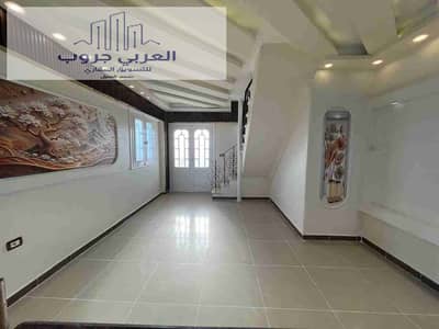 فلیٹ 4 غرف نوم للبيع في النخيل، الإسكندرية - 1000343215. jpg