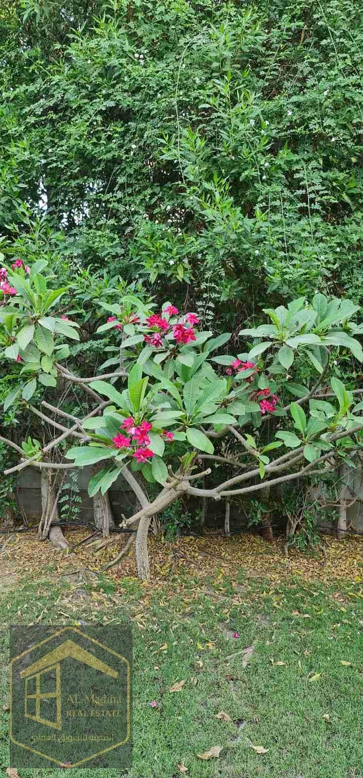 10 IMG-20251222-WA0034. jpg