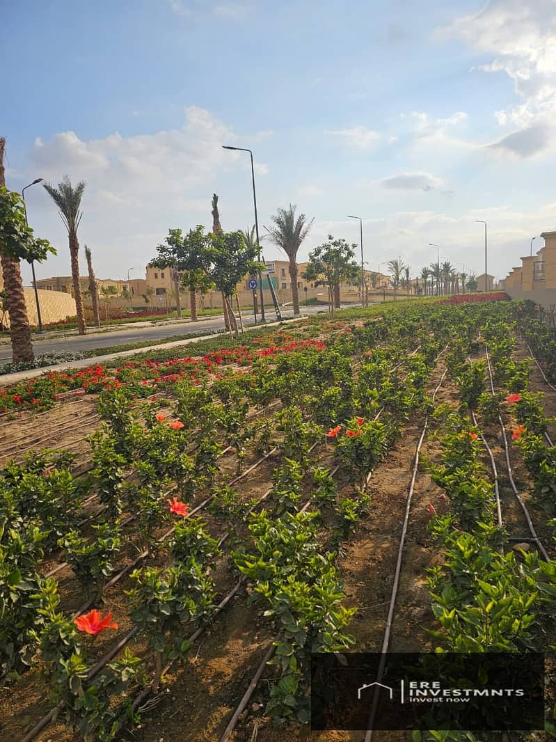 5 bc192c1a-eacc-497d-9d77-5aa5ec3a8ad1. jpg