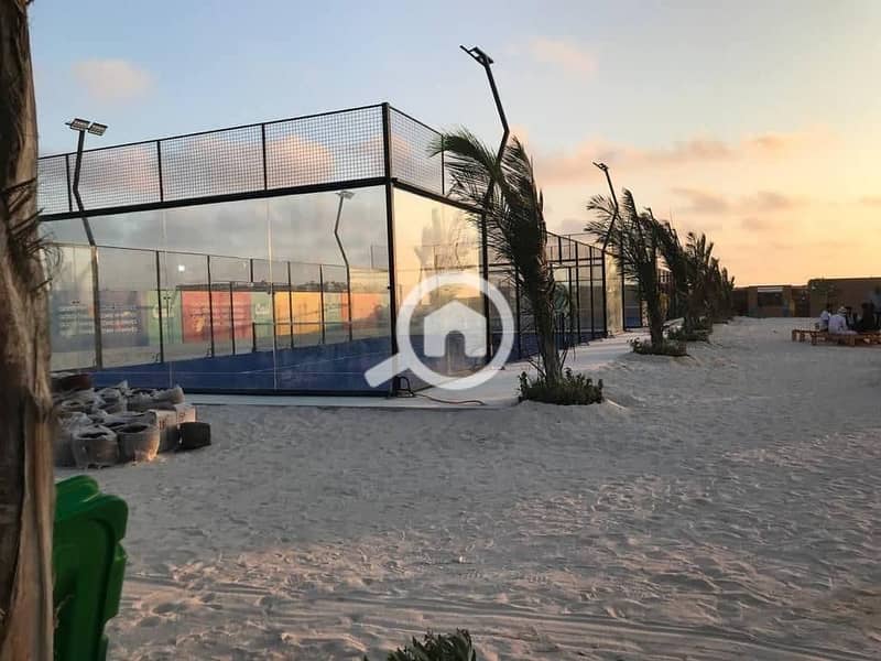 6 photo_2025-02-20_02-19-45. jpg