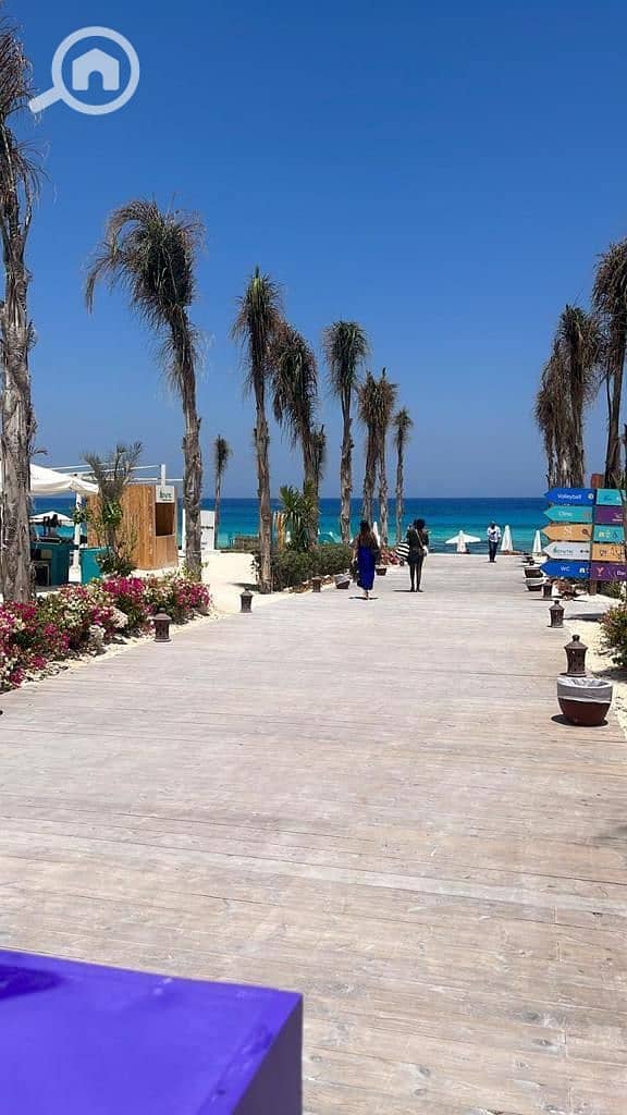 8 photo_2025-02-20_02-19-47 (2). jpg