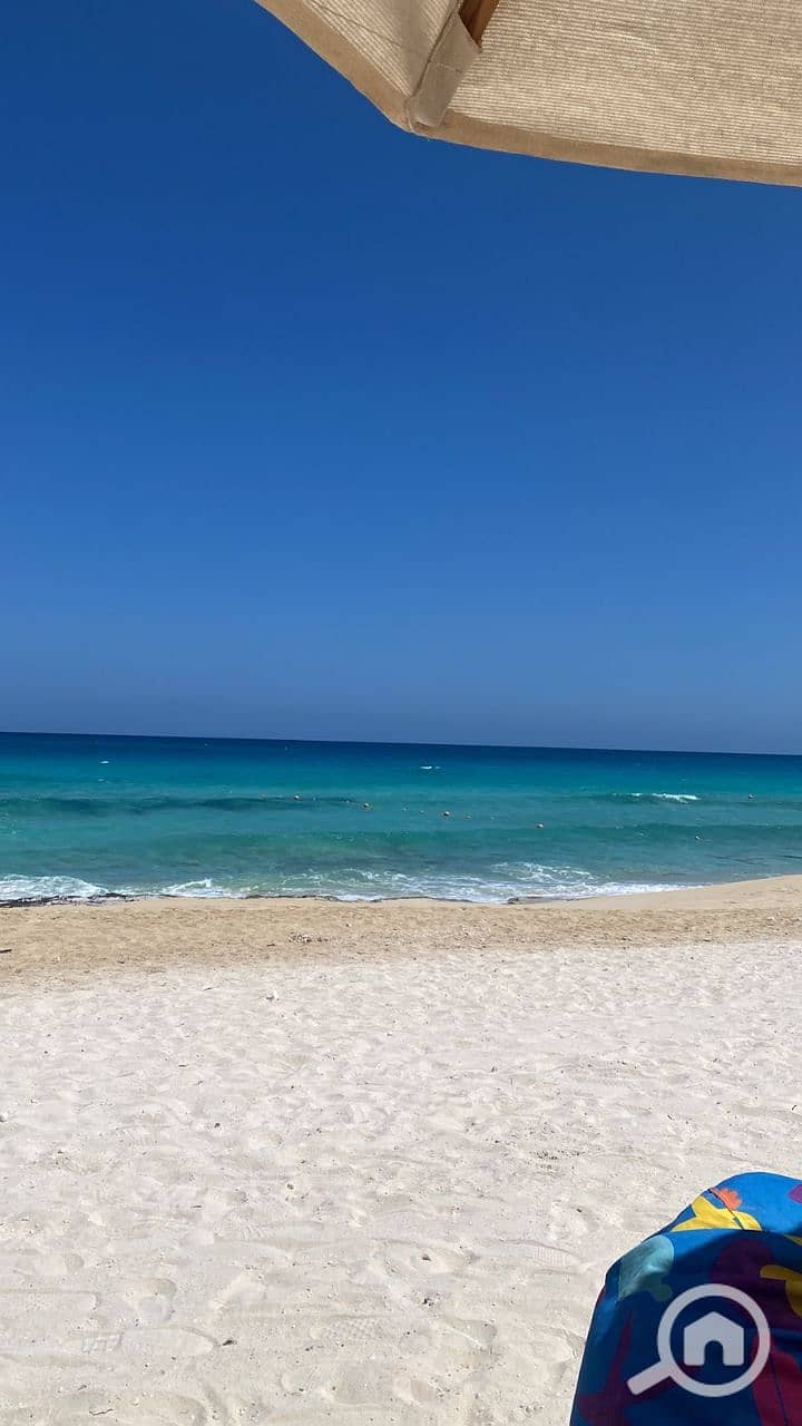 10 photo_2025-08-12_21-34-11. jpg