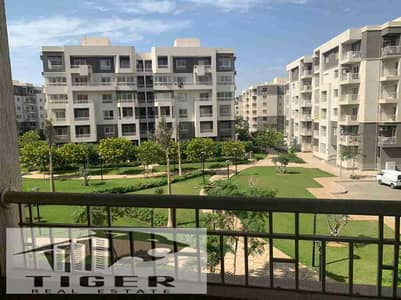 3 Bedroom Apartment for Rent in Madinaty, Cairo - 1002954624. jpg