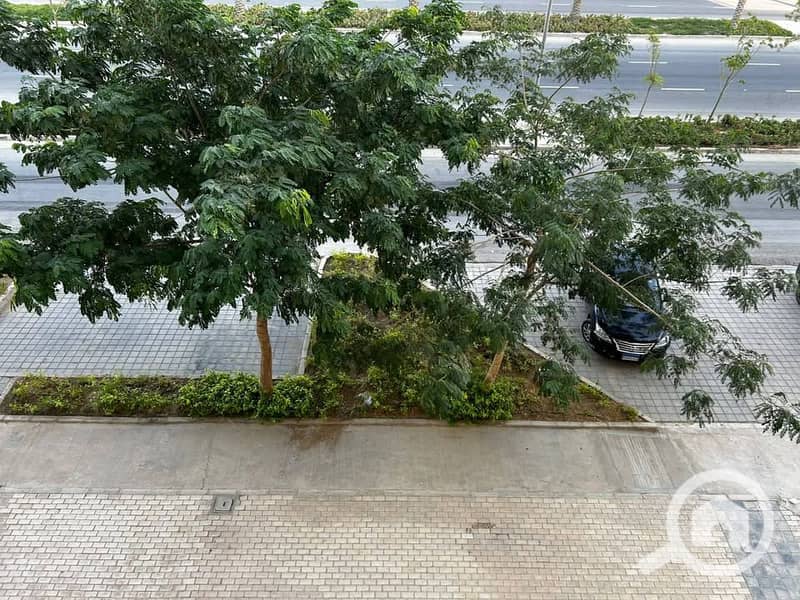 10 586302500_122115719961010877_3932790901021551035_n. jpg