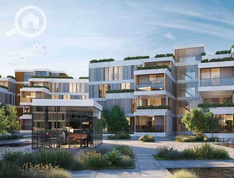 8 sodic-vye-zayed222_8_11zon. jpeg