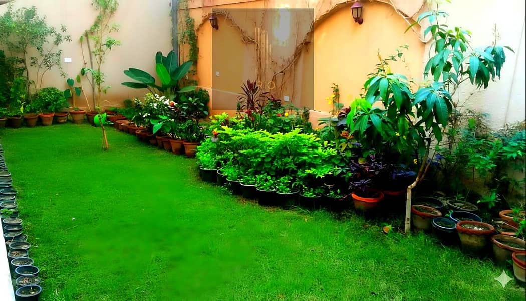 2 WhatsApp Image 2025-12-23 at 11.02. 28 AM (3). jpeg