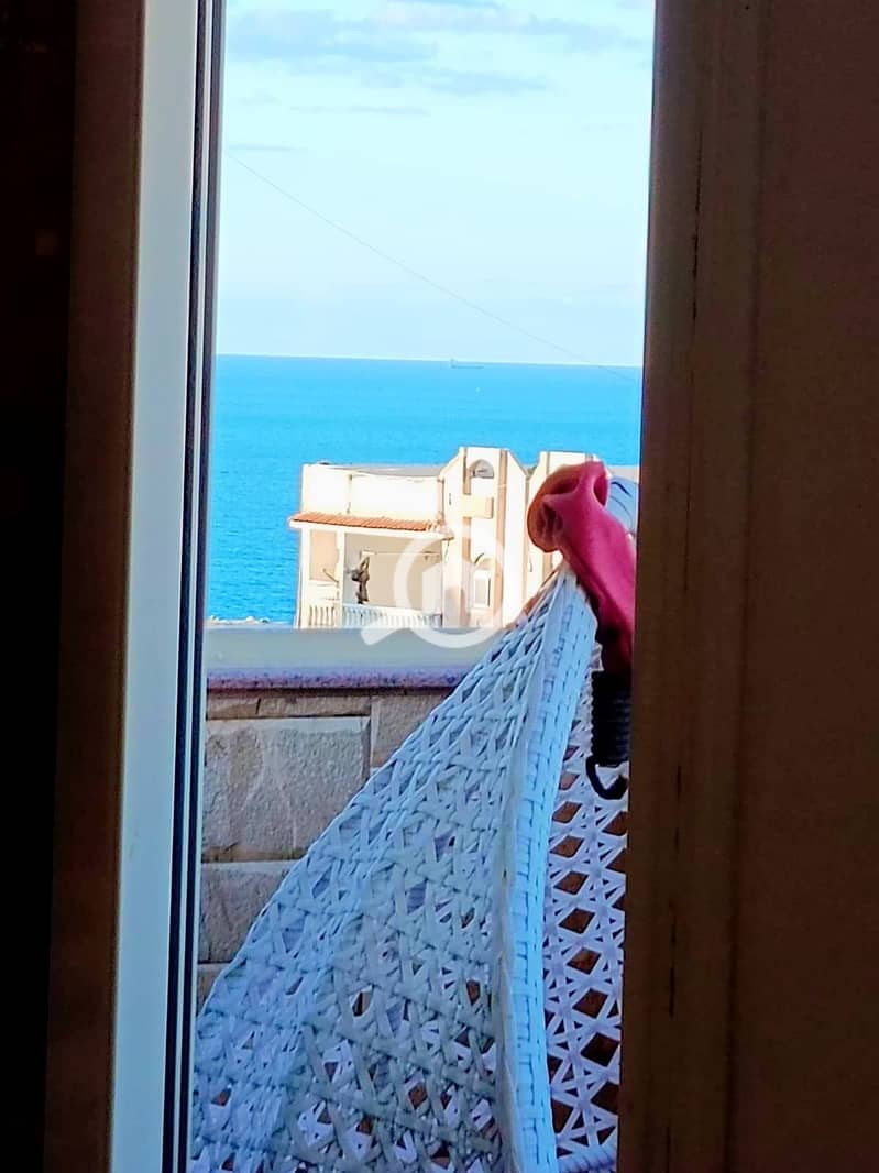 13 601438564_25548440438106373_5661302470072087653_n. jpg