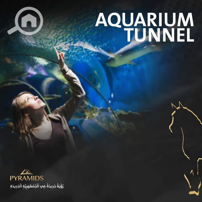 35 Mega-Mall-New-Capital-768x768. jpg