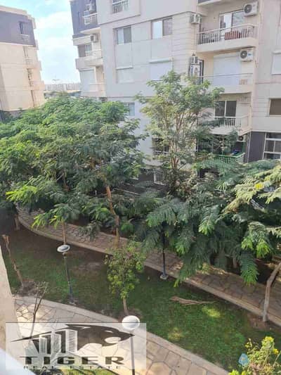 3 Bedroom Flat for Sale in Madinaty, Cairo - 1000533502. jpg