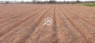 زراعي  للبيع في الفرافرة، الوادي الجديد - ارض الفرافره. jpg