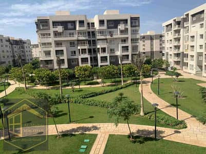 3 Bedroom Flat for Rent in Madinaty, Cairo - 1000223661. jpg