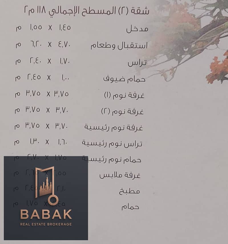 8 486390547_1719189848810279_5999538923980665760_n. jpg