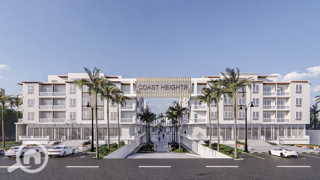 2 photo_1_2025-12-23_22-23-00. jpg