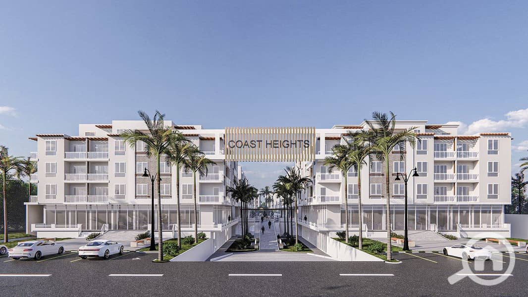 3 photo_1_2025-12-23_22-23-00. jpg