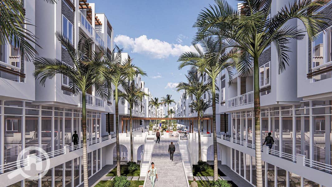 3 photo_2_2025-12-23_22-23-00. jpg