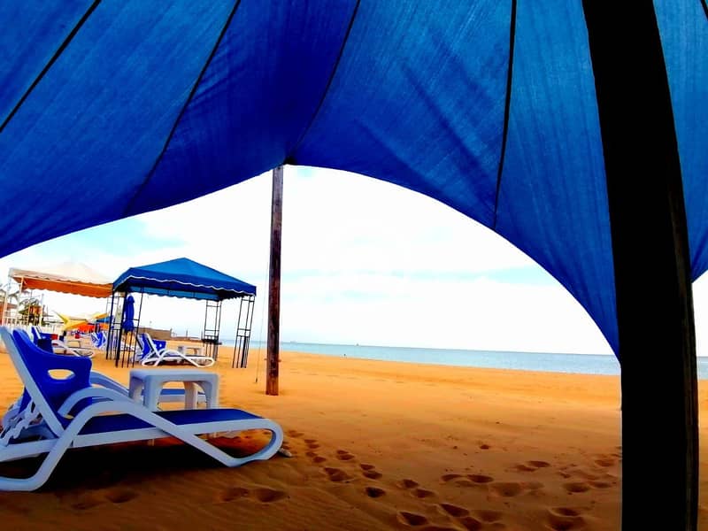 6 40fed427-72ab-4e1e-abe5-edd5923096be. jpg