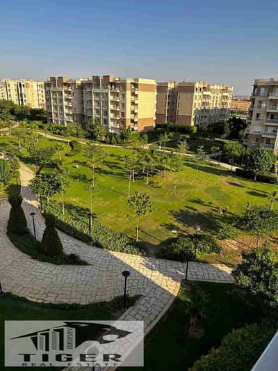 3 Bedroom Apartment for Sale in Madinaty, Cairo - 1000835414. jpg