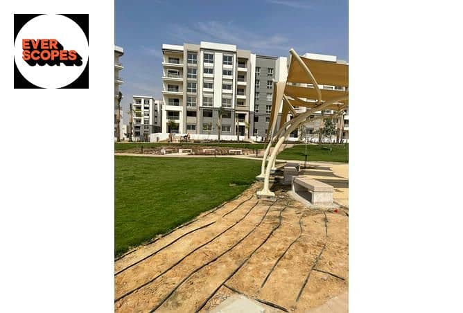 6 3828587-56ca0o. jpg