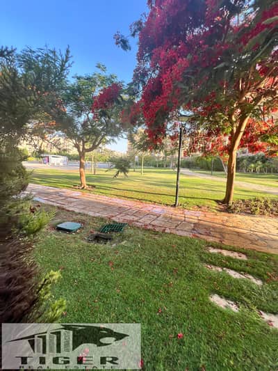 3 Bedroom Apartment for Sale in Madinaty, Cairo - WhatsApp Image 2025-12-23 at 11.22. 44 PM. jpeg