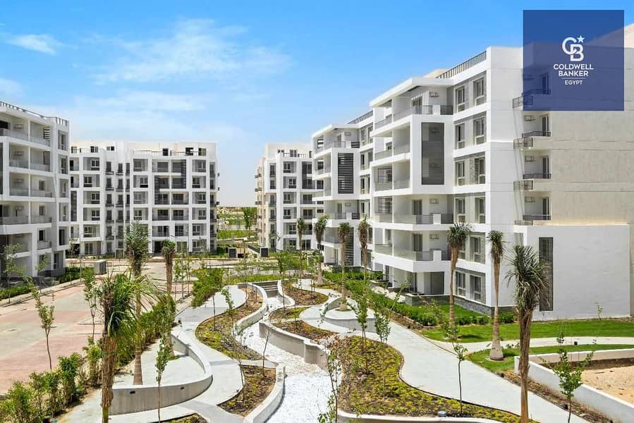 11 412751234_250055208095390_3688005609947597318_n. jpg