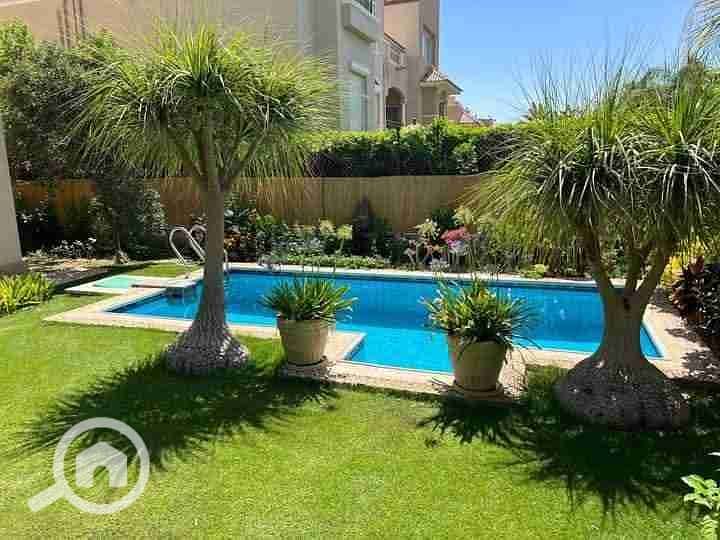 1000631673. jpg 1000631673. jpg