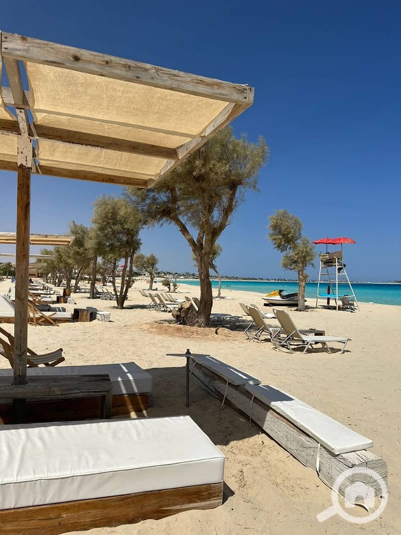 7 photo_2025-01-29_20-40-13. jpg