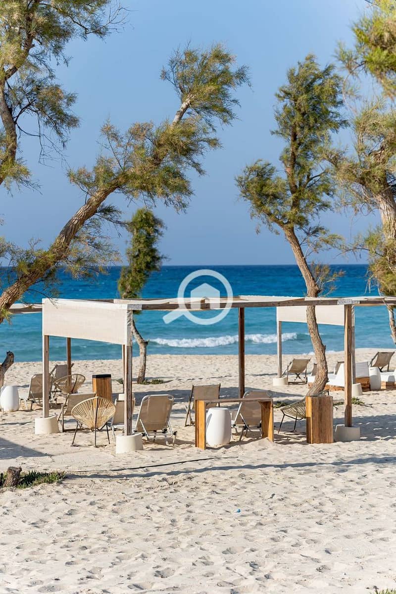 8 photo_2025-04-30_19-45-32. jpg