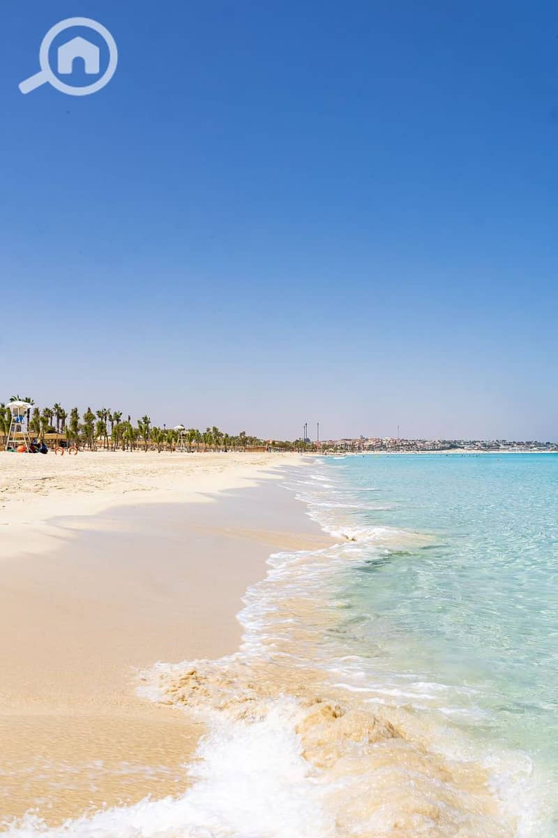 10 photo_2025-04-30_19-45-47. jpg