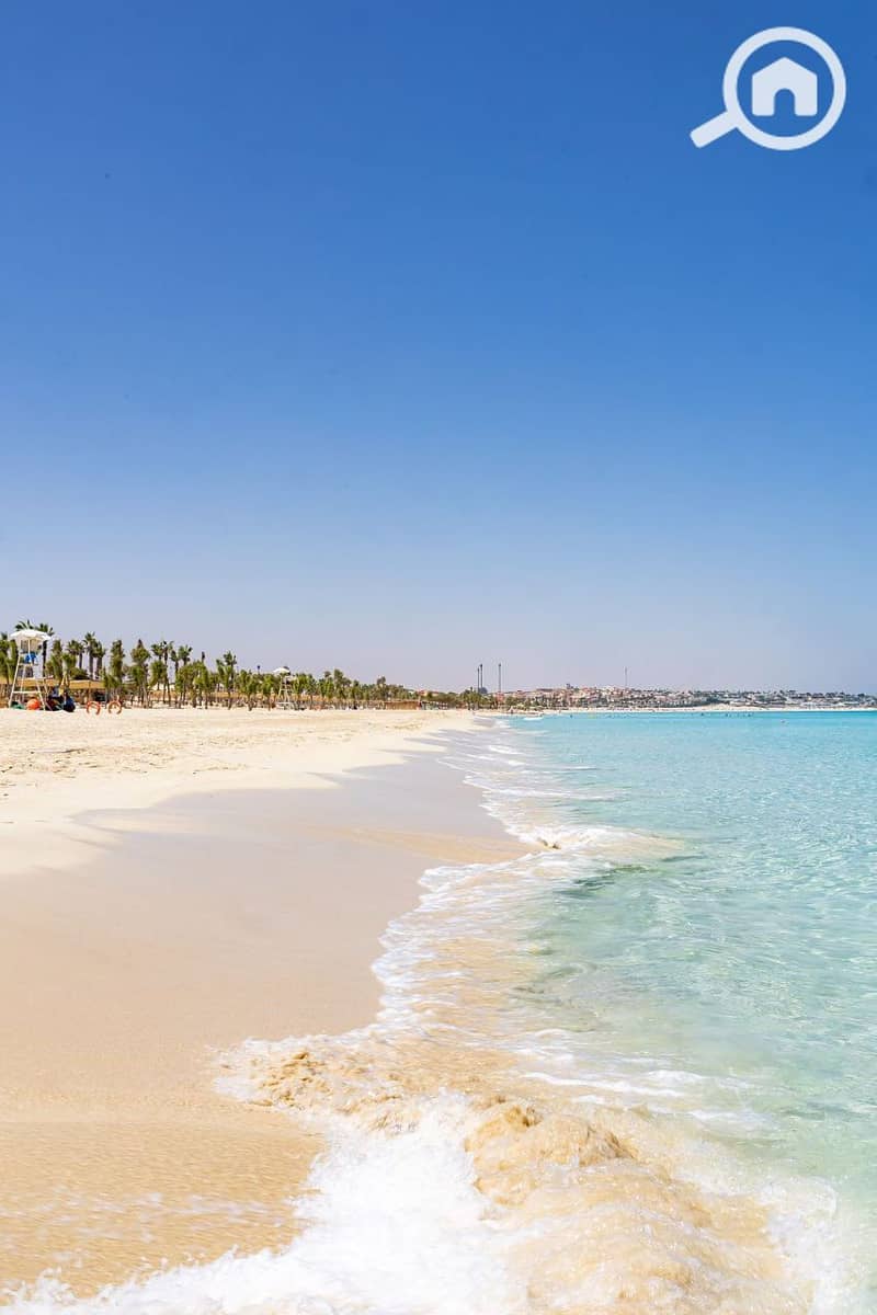 9 photo_2025-04-30_19-45-47. jpg