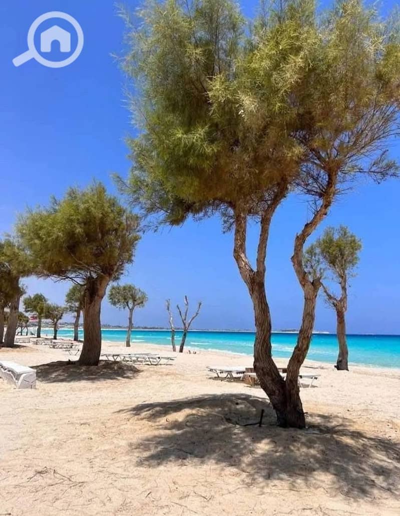 10 514264541_122122450634877090_4568843833209734751_n. jpg