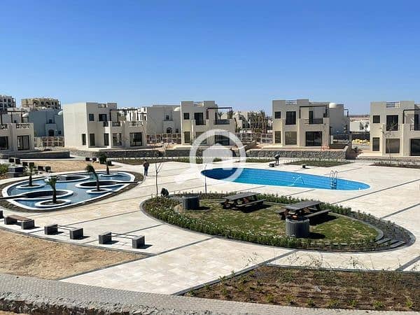 4 464752483_1667404553824084_1636498835985229137_n. jpg