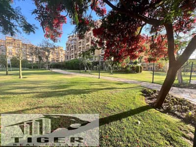 2 Bedroom Apartment for Sale in Madinaty, Cairo - 1000593223. jpg 2 Bedroom Apartment for Sale in Madinaty, Cairo - 1000593223. jpg