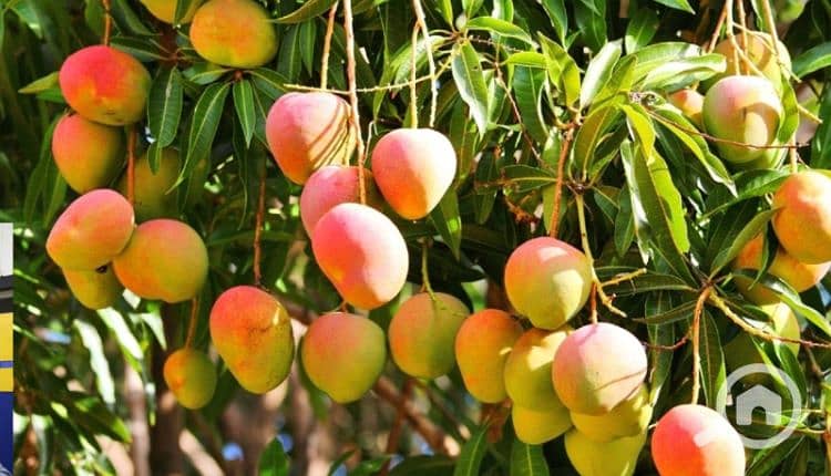 4 77457808-56304748. png